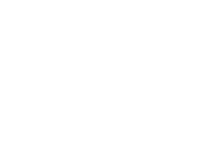 logo_schoolfitness_03c_w300
